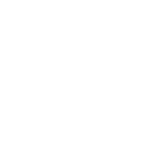 Reason03